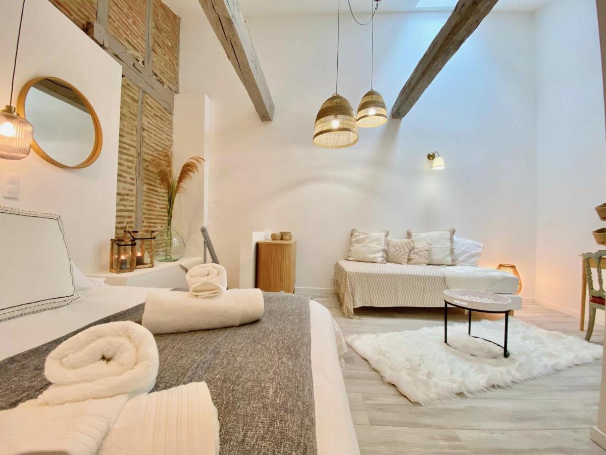 Appartamento La Parenthese Occitane Castres  Esterno foto